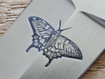 Papillon Detail